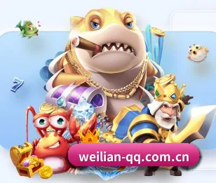 从全球体育赛事到热门游戏攻略的内容探索(William)